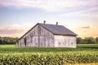 Rural Ohio Barn