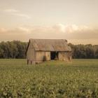 Rural Barn