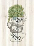 Grow with Love Succulents