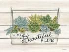 Beautiful Life Succulents