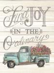 Find Joy in the Ordinary