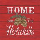 Home for the Holidays