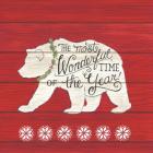 The Most Wonderful Time Bear