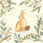 Woodland Animals Rabbit