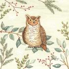 Woodland Animals Owl