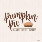 Pumpkin Pie