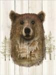 Bear Wilderness Portrait