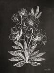 Vintage Chalkboard Flowers