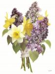 Lilacs and Daffodils