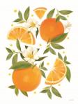 Citrus Orange Botanical