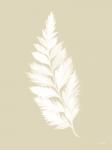 Botanical White Fern