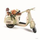 Flower Garden Scooter