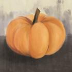 Orange Rustic Pumpkin