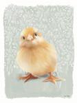 Spring Chick II