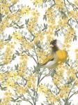 Yellow Spring Finch