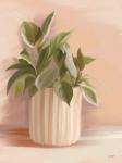 Striped Bohemian Plant I