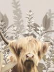 Hairy Highland in the Field