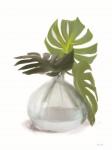 Monstera Leaf Vase