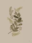 Cream Bough I