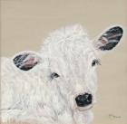 White Calf