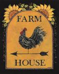 Sunny Farmhouse