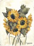 Harvest of Sunflowers