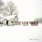 Quilts in Snow