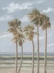 Wind in the Palms