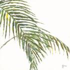 Two Palm Fronds II