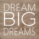 Dream Big Dreams