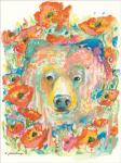 Bear and Poppies