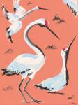 Storks I