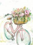 Bicycle with Flower Basket