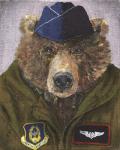 Pilot Bear 2