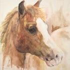 Watercolor Horse