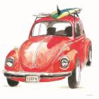 I Have the Bug to Go Surfin'