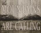 The Mountains are Calling