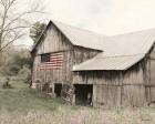 The American Farmer