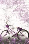 Ultra Violet Bicycle