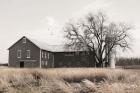 Ohio Fields II