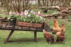 Farmer's Flower Cart