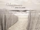 Happiness Comes in Waves