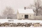 Virginia Snow Storm