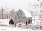 Blue Tinted Barn