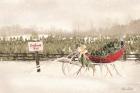 Red Sleigh at Tree Farm