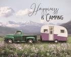 Spring Camping I