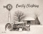 Country Christmas