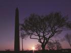 Nightfall at the Washington Monument