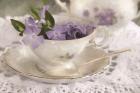 Violet Teacup II