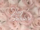 Tiny Treasure